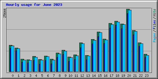 Hourly usage for June 2023